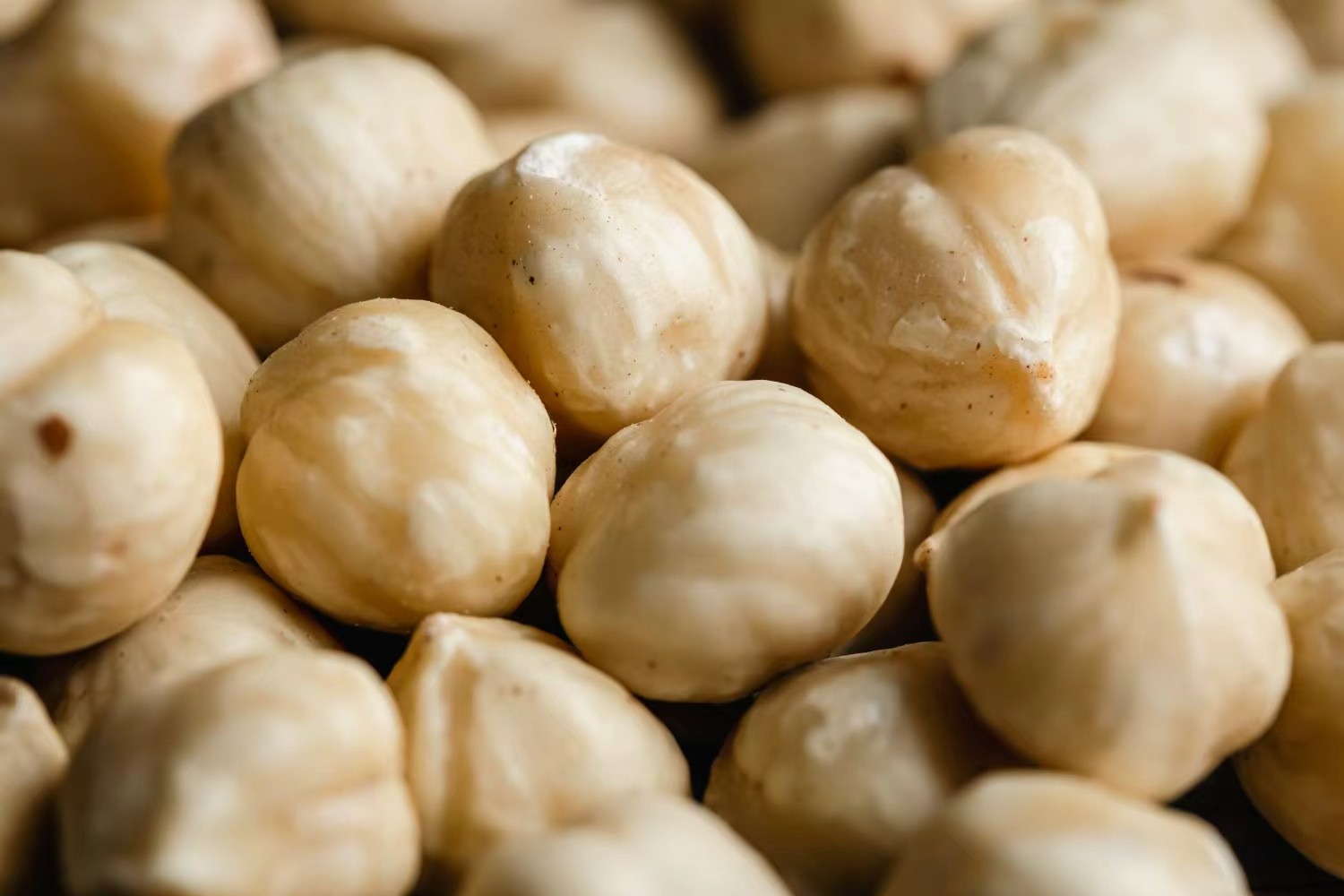 Macadamia Sorting.jpg